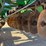 1989-john-deere-630-image-5