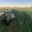 oat-&-pea-mix-haylage-round-bales-x-20--laconner-image-1