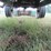 1982-john-deere-2840-image-14