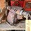 #10428-•-big-pto-driven-dual-hydraulic-pump-image-4
