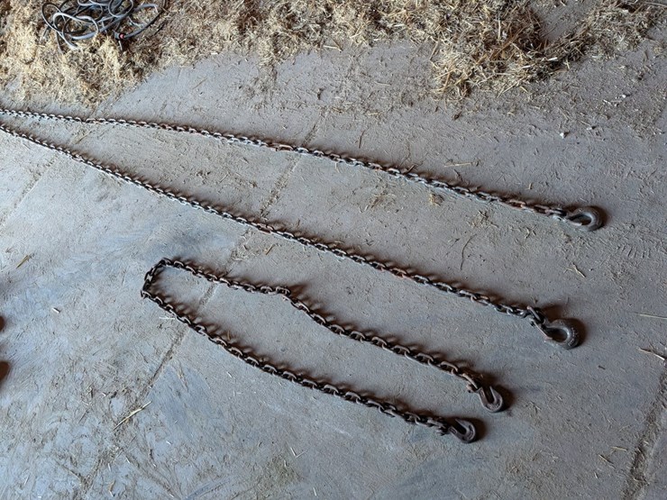 #5529-•-log-chains-image-1