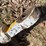 #10424-•-single-stage-hydraulic-cylinder-image-4