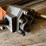 #10440-•-prince-direct-mount-hydraulic-pump-image-9