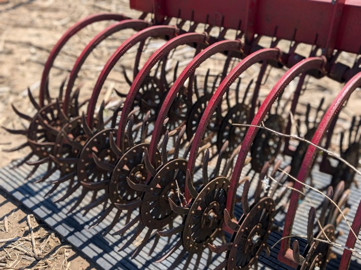 international-181-image-5