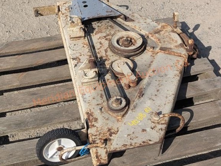 international-40-image-2