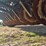 john-deere-450-image-8