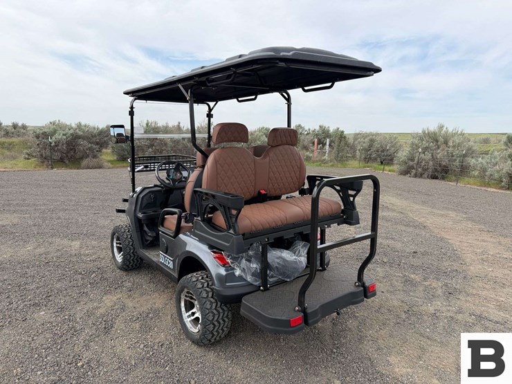 2025-sdlanch-sdlgc80-golf-cart-image-3