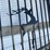#10387-•-set-of-7'-bi-parting-metal-gates-image-5