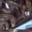 bobcat-t870-image-15
