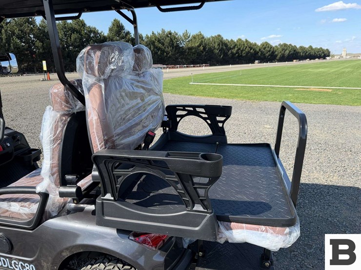 2025-sdlanch-sdlgc80-golf-cart-image-17