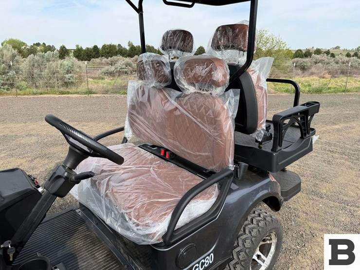 2025-sdlanch-sdlgc80-golf-cart-image-14