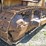1978-caterpillar-d9h-image-6