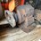 #10430-•-big-direct-mount-hydraulic-pump-image-1