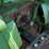 1978-john-deere-4640-image-3