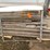 #10386-•-freightliner-grill-surround-image-2
