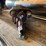 #10439-•-permco-big-shaft-drive-hydraulic-pump-image-2