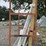 #19-•-(6)-pcs-windows-and-frames-image-2