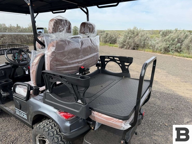 2025-sdlanch-sdlgc80-golf-cart-image-18