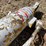 #10424-•-single-stage-hydraulic-cylinder-image-11