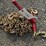 #110-•-(1)-9200-lb-ratchet-binder-&-(2)-3/8"-20'-chains-image-1