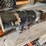 #10393-•-fuel-water-separator-with-electric-element-image-1