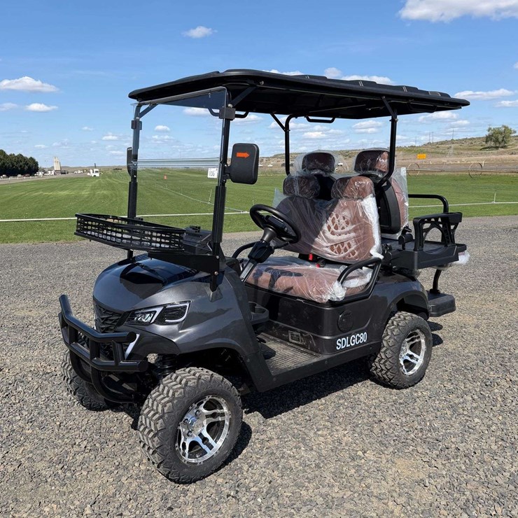 2025 SDLANCH SDLGC80 Golf Cart