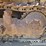 1978-caterpillar-d9h-image-23