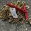 #120-•-(1)-9200-lb-ratchet-binder-&-(2)-3/8"-20'-chains-image-1