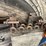 #10373-•-power-steering-or-transmission-cooler-image-4