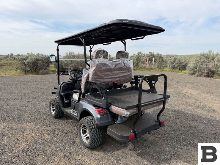 2025-sdlanch-sdlgc80-golf-cart-image-3