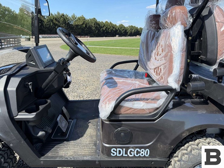 2025-sdlanch-sdlgc80-golf-cart-image-15