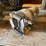 #10435-•-heavy-duty-truck-fuel-water-separator-with-heating-element-image-3