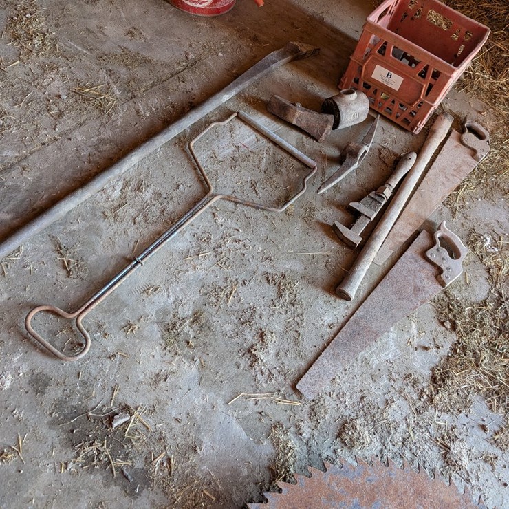 #5501 • Antique Iron and Tools