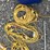 #147-•-(4)-soft-light-stringer-bulb-cords-image-3