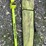 #97-•-cst/-berge-magna-trak-102-magnetic-locator-image-1