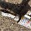 #10424-•-single-stage-hydraulic-cylinder-image-2