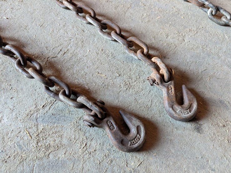 #5529-•-log-chains-image-4