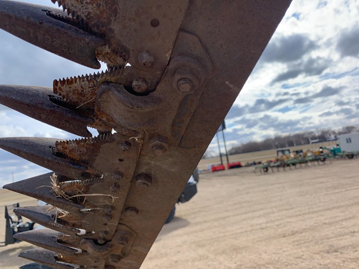 international-100-image-9