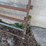 #5477-•-heavy-duty-cattle-gate-image-2