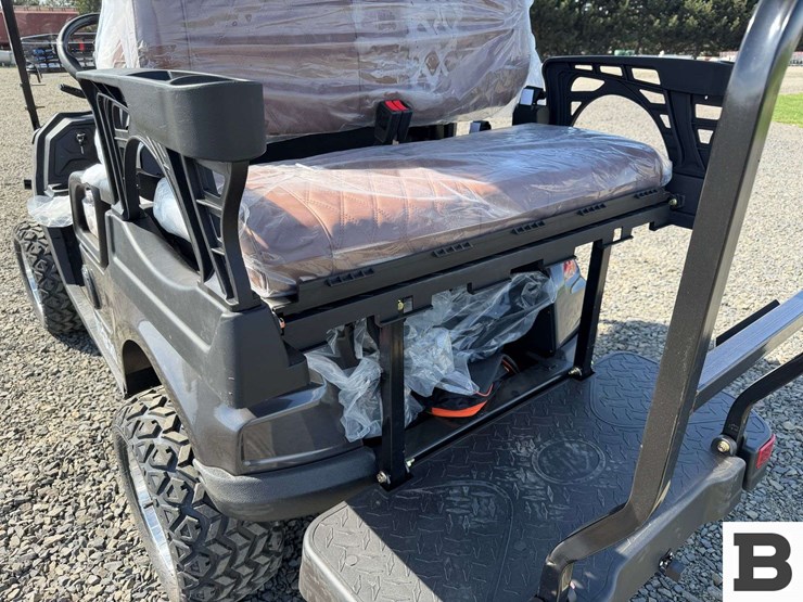 2025-sdlanch-sdlgc80-golf-cart-image-18