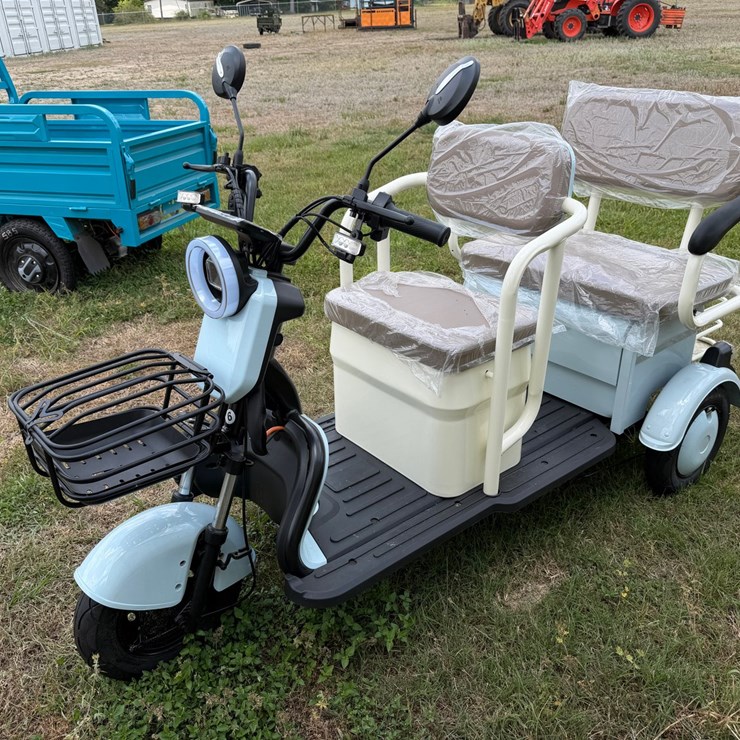 #590 • #589 • ELECTRIC TRICYCLE MINI GOLF CART