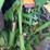 john-deere-6410-image-23