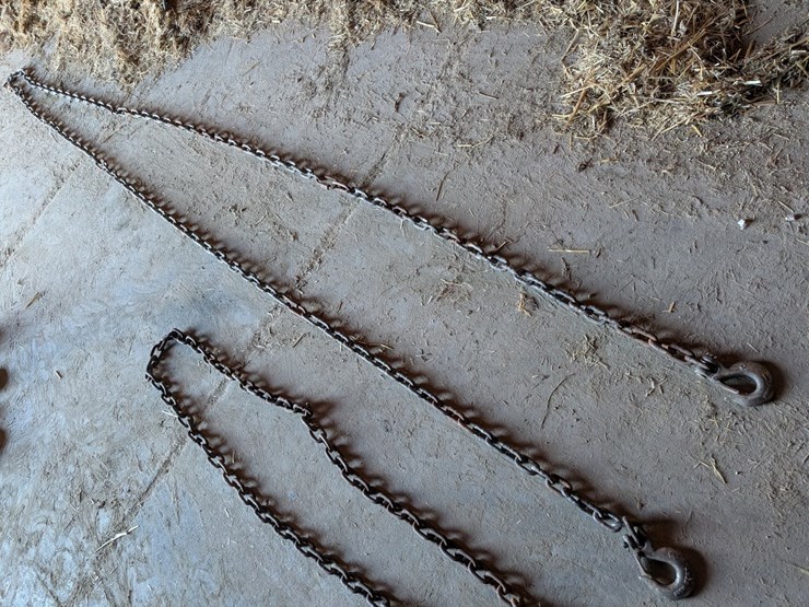 #5529-•-log-chains-image-2