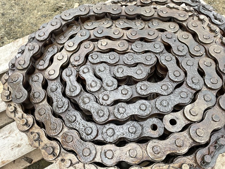 #10365-•-peer-200-heavy-double-roller-chain-sections-image-3
