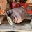 #10428-•-big-pto-driven-dual-hydraulic-pump-image-1