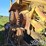 1982-caterpillar-d10-image-17