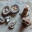 #5530-•-casters-and-wheels-image-1