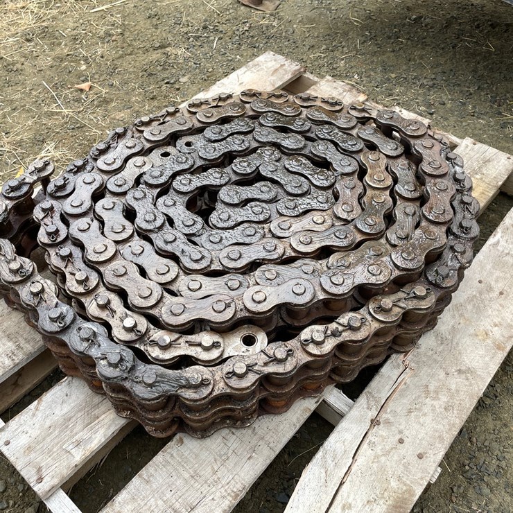 #10365 • Peer 200 Heavy Double Roller Chain Sections