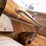 #10416-•-pair-of-mufflers-with-stainless-steel-guards-image-9