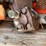 #10429-•-small-direct-mount-hydraulic-pump-image-5